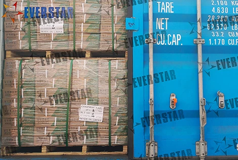 วิธีซื้อตะปูทั่วไป: ขนาด พื้นผิว คุณภาพ และบรรจุภัณฑ์ส่งออก